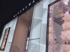 门面-BLACKSWAN黑天鹅(环球店)