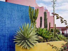 -漳州滨海火山岛自然生态风景区