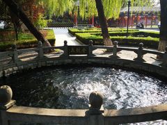 -百脉泉景区