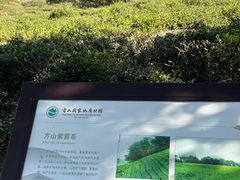 -南京市江宁方山