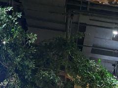-汤森悠生活文化汤(江宁万达店)