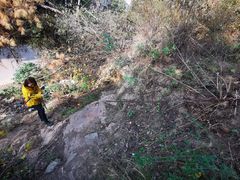 -青龙山国家森林公园