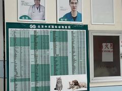 -中农国际动物医院24小时·猫科·骨科·急重症中心