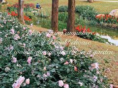 -人民公园(罗湖区)