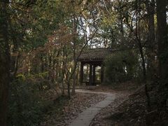 -西湖风景区十里琅珰-五云山