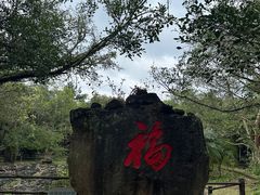-海口火山口国家地质公园