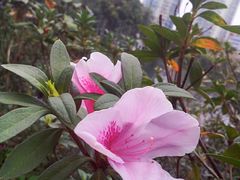 -晓港公园