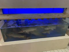 -阿庄新豫菜(航海东路店)