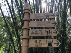 -开平碉楼文化旅游区马降龙景区