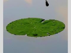 -西南交通大学(九里校区)