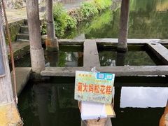 -蔺大妈松花糕