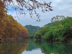 -贵阳市花溪国家城市湿地公园
