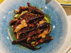 藤椒麻辣黑凤爪-朱仔记食府(江南大道店)