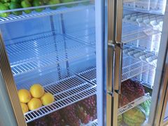 -雾与山茶(大禹城店)