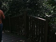 -张坝桂圆林公园