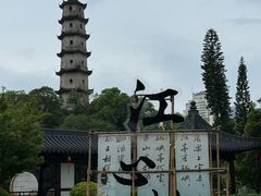 -江心屿景区