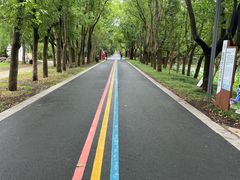 -同里国家湿地公园