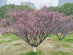 -艾溪湖湿地公园