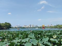 -济南大明湖景区