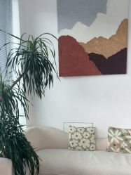 点击看大图 -MEMO Skin漫溯皮肤管理