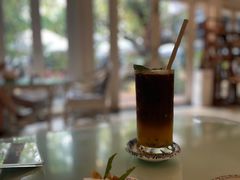 -Fern Forest Cafe