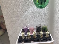 -薇薇安花系SPA