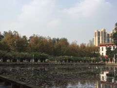 -四川大学(望江校区)