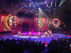 -珠海横琴长隆《卡卡虎奇遇记》