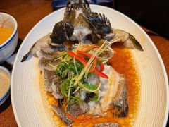 清蒸石斑鱼-林四喜·闽南传家菜(鼓浪屿店)