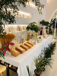 -紫琪尔·匠心连锁·胸部护理养护