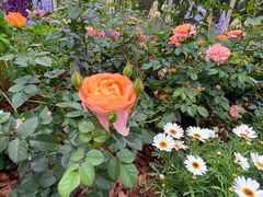 -深圳国际园林花卉博览园