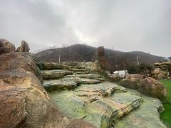 -凯鸽酒楼(大同振兴街店)