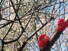 -白塘生态植物园