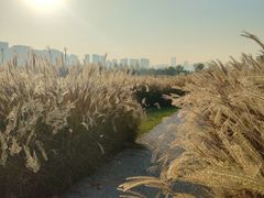 -汉长安城未央宫国家考古遗址公园