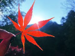 -天明山温泉大酒店