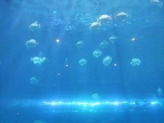 -华夏文旅西安度假区