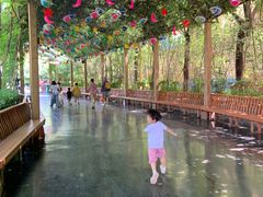 -郑州方特梦幻王国