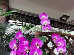 -广州兰圃