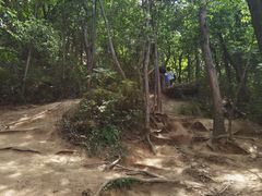 -灵岩山风景区