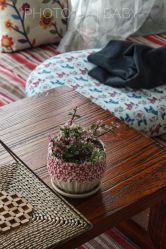 -瑜舍瑜伽连锁教室