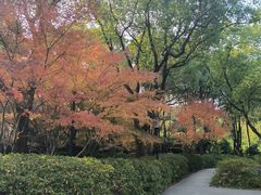 -黄兴公园