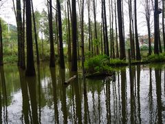 -金山植物公园