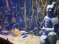 -华夏文旅海洋公园