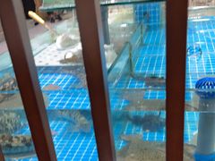 -渔码头食府·20年蓬莱老字号(登州路店)