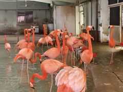 -石家庄市动物园