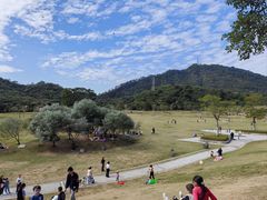 -风云岭森林公园