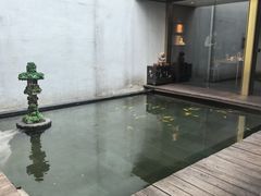-觀芷隐轩