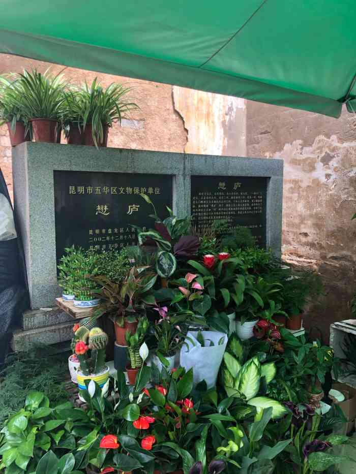 懋庐-"2019年的7月份跟家人来到昆明,爸爸路."-大众点评移动版