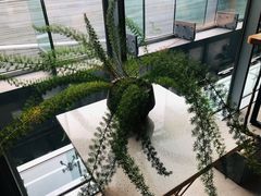 -半山腰·云南菜(侨福芳草地店)
