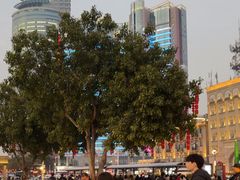 -厦门轮渡码头